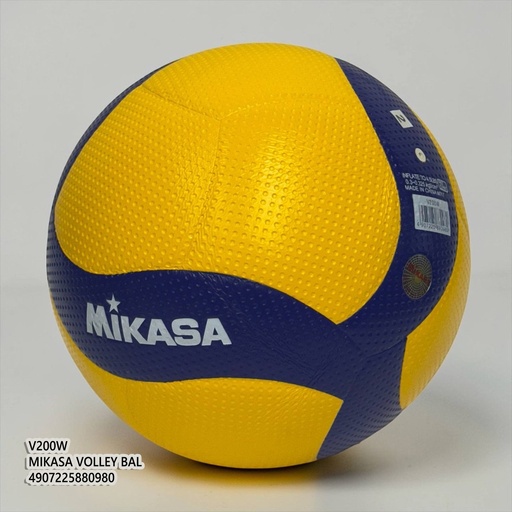 Mikasa Volley Ball